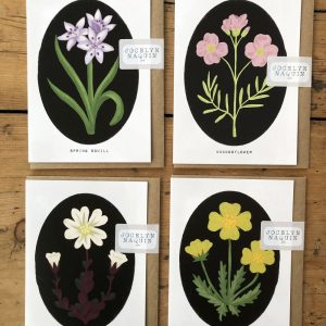 Wildflower Greeting Card Bundle