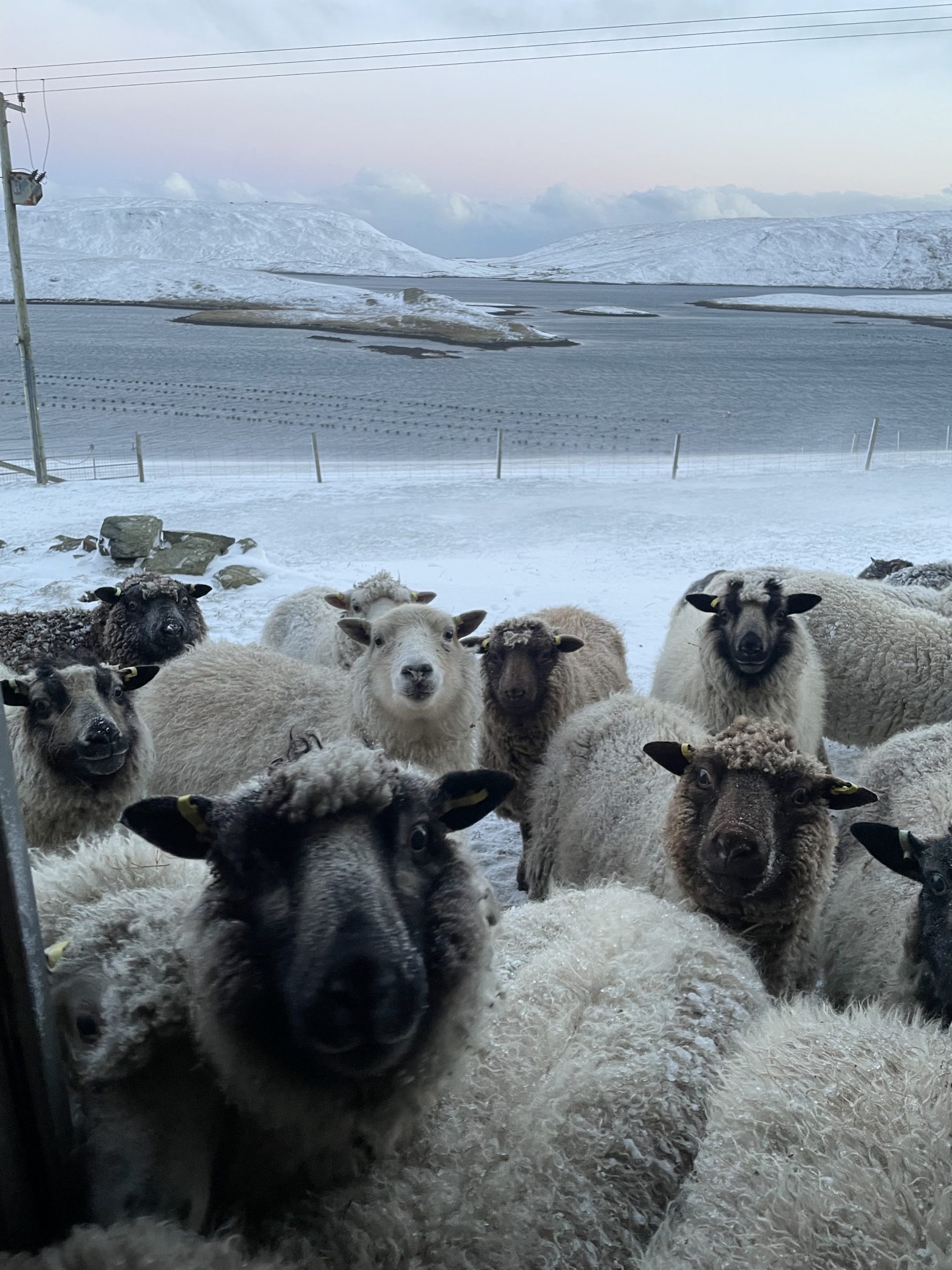 Shaped by the Weather